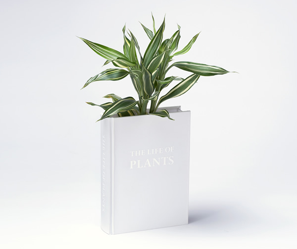 Especial: Vaso de plantas em forma de livro na estante 4