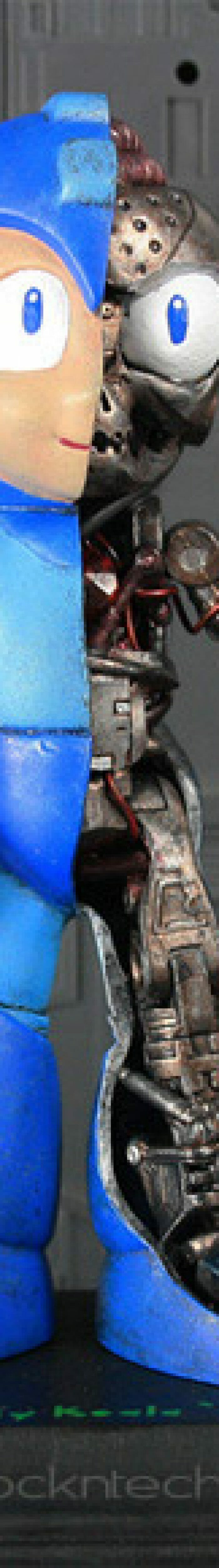 FOTOFUN - Anatomia do Mega Man.