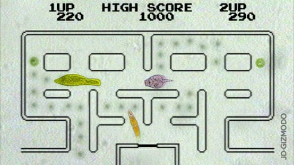 Cientistas recriam o game Pac-Man com micro-organismos