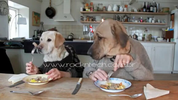 VIDEOFUN - Um jantar bom pra cachorro!