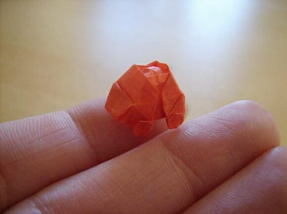 Com vocês: Os magníficos nano origamis!