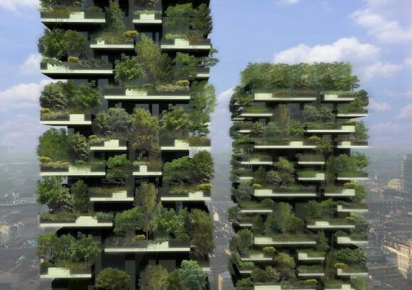 Projeto floresta vertical
