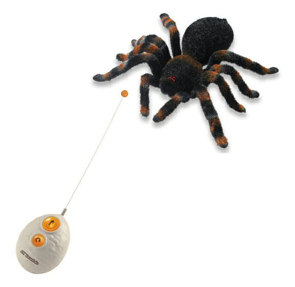 Uma nova maneira de assustar meninas: Aranha movida por controle remoto!