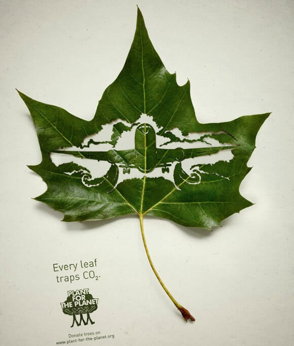 Campanha usa arte em folhas de árvores para lembrar da responsabilidade ambiental