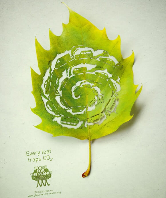 Campanha usa arte em folhas de árvores para lembrar da responsabilidade ambiental
