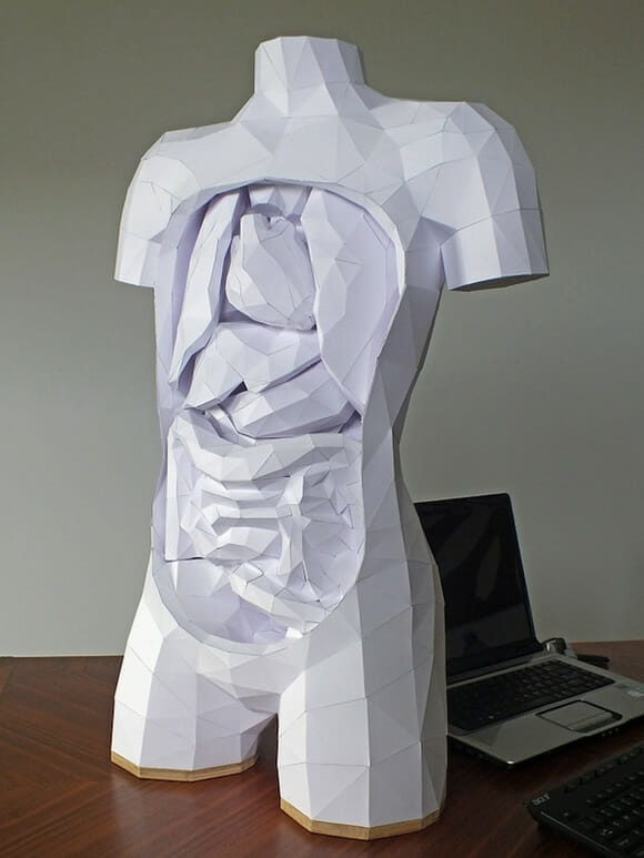 Corpo humano de papel tem órgãos modulares que podem ser retirados e colocados