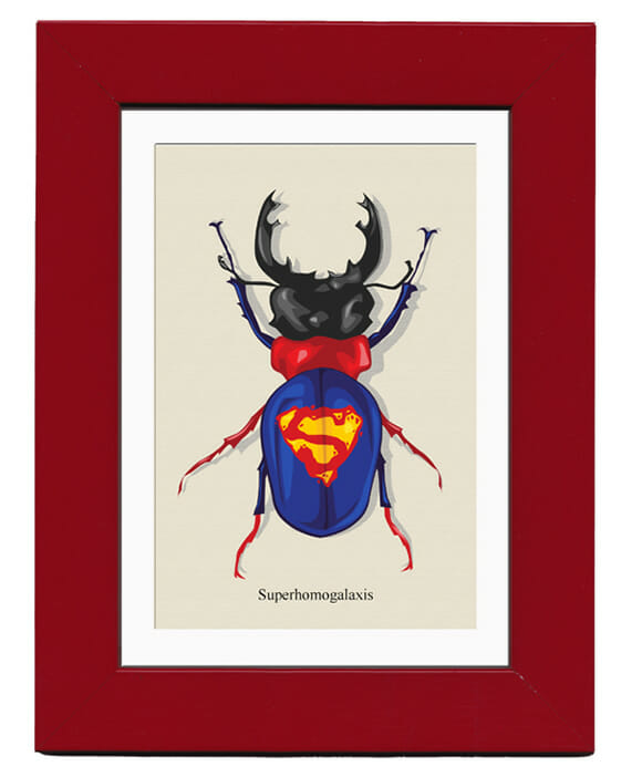 Super Bugs: Coleção de Insetos Super-Heróis