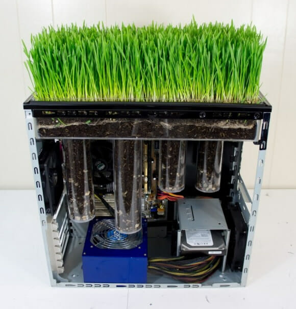 Tecnologia Verde: Homem constrói Gabinete de PC equipado com grama de verdade