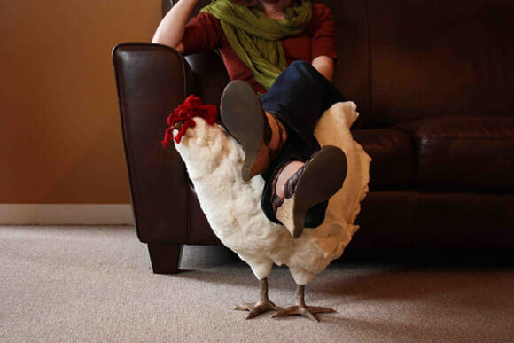 Decoração bizarra: Descanse seus pés em uma galinha!