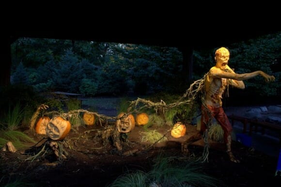 Abóbora gigante é transformada em escultura de zumbi incrivelmente realista