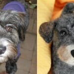 Agora é possível ter pelúcias personalizadas idênticas a seu cão de estimação