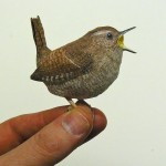 Pássaros feitos em papercraft são tão perfeitos que parecem reais