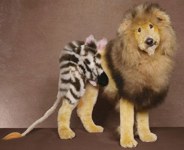 Cães estranhamente tosados e pintados para se parecer com personagens e outros animais