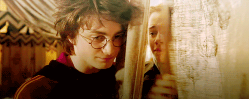 Hermione Granger 14