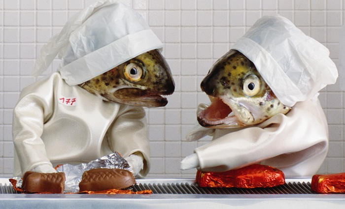 Bizarro: Artista cria cenas incrivelmente detalhadas com bonecos e cabeças de peixes
