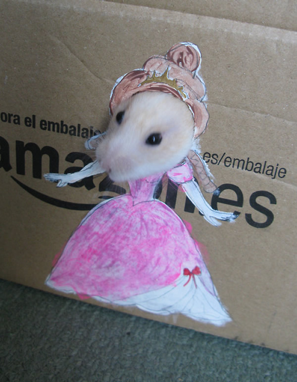 Com vocês o palhaço, a princesa e a sereia Hamster da caixa de papelão!