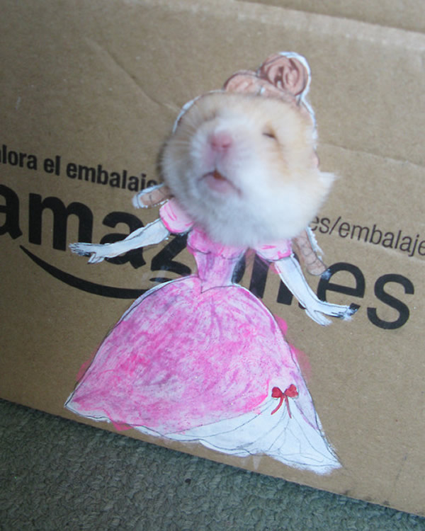 Com vocês o palhaço, a princesa e a sereia Hamster da caixa de papelão!