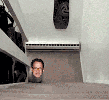 É o bicho! 25 gifs engraçados colocam a cabeça de Tom Hanks em animais