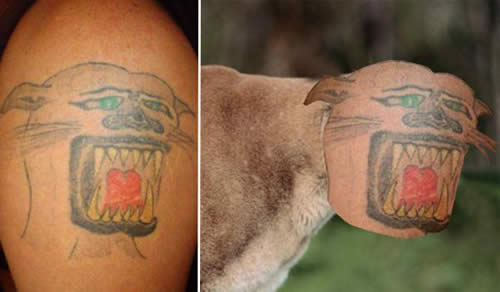 12 Rostos bizarros de tatuagens trocados com os de pessoas e animais
