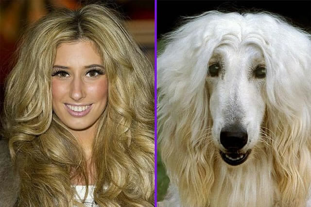 21 Fotos em que cães saíram parecidos com seus donos
