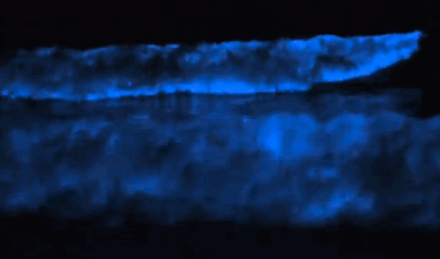 gifs-de-fenomenos-naturais_3-mare-vermelha-bioluminescente