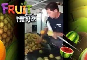 fruit-ninja-vida-real