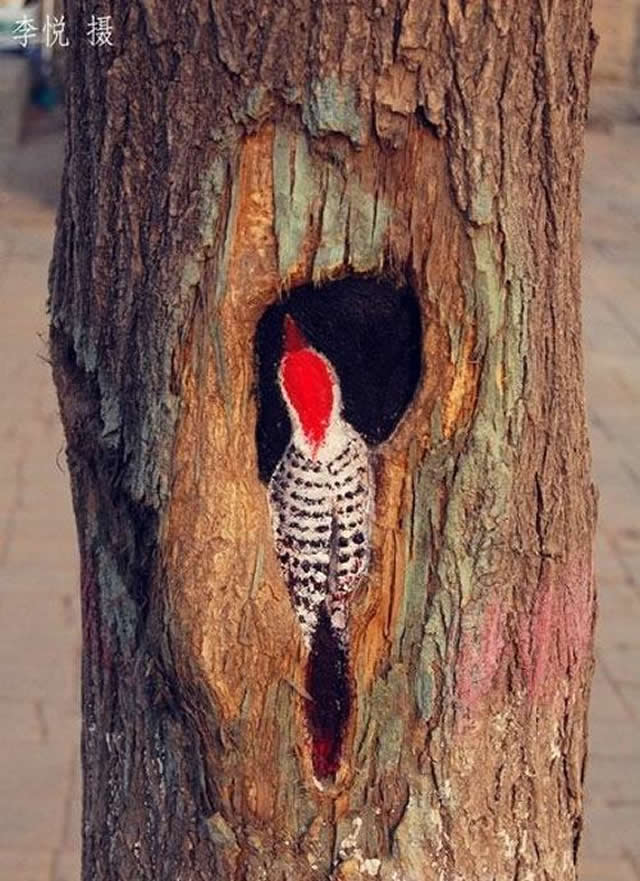 Artista pinta animais incrivelmente realistas em árvores