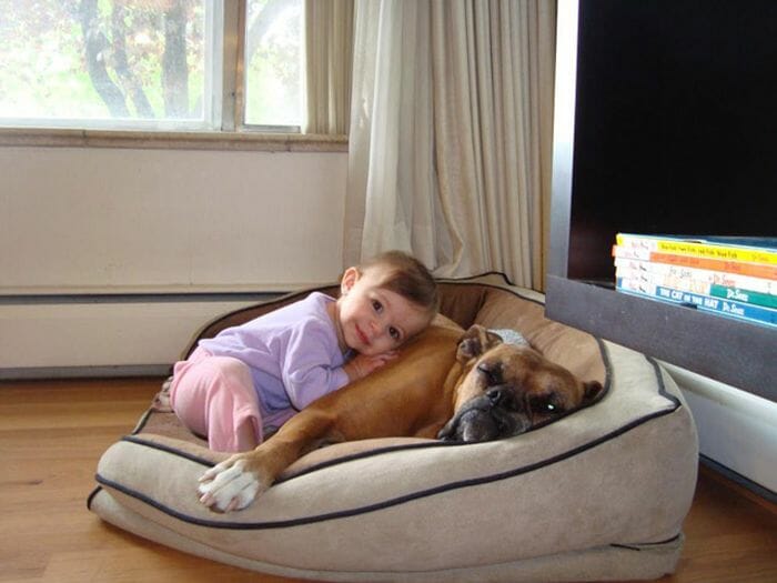29 Imagens que provam que os cães são os melhores amigos das crianças