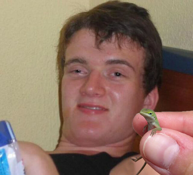 O lagarto mal-humorado é o mais novo meme que você precisa conhecer (10 Fotos)
