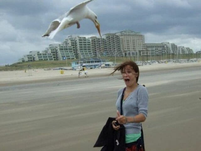 Expectativa vs. Realidade: A praia no Instagram e na vida real (34 Fotos)