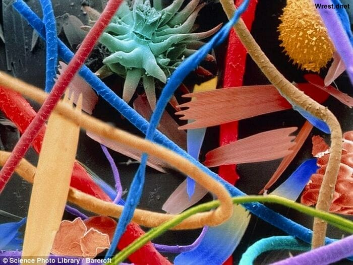 coisas-cotidiano-ampliadas-microscopio_31