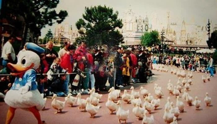 20 Momentos perfeitos capturados em parques da Disney