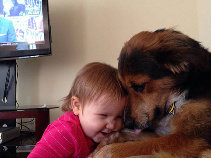 15 Crianças que aprenderam cedo que os cães são nossos melhores amigos