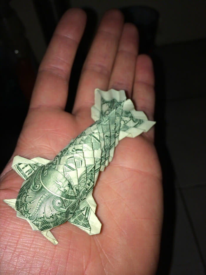 peixe nota de dólar