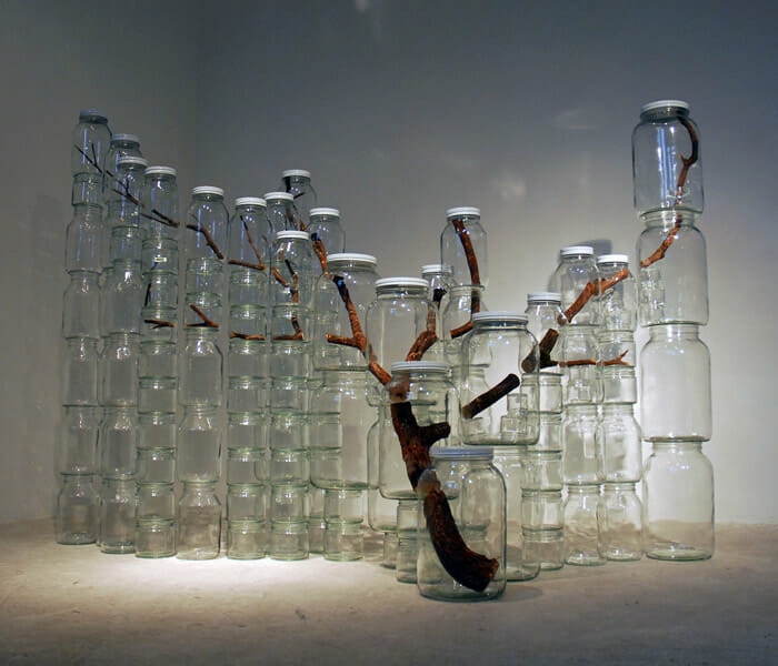 Escultura árvore partida em vasos