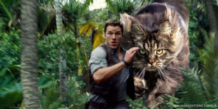 20 Fotos engraçadas substituem os dinossauros do filme Jurassic Park por gatos