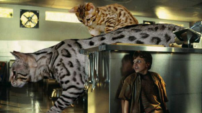20 Fotos engraçadas substituem os dinossauros do filme Jurassic Park por gatos