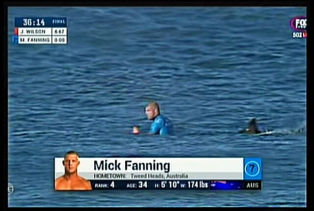 Campeão de surf escapa de um ataque de tubarão durante competição em vídeo ao vivo