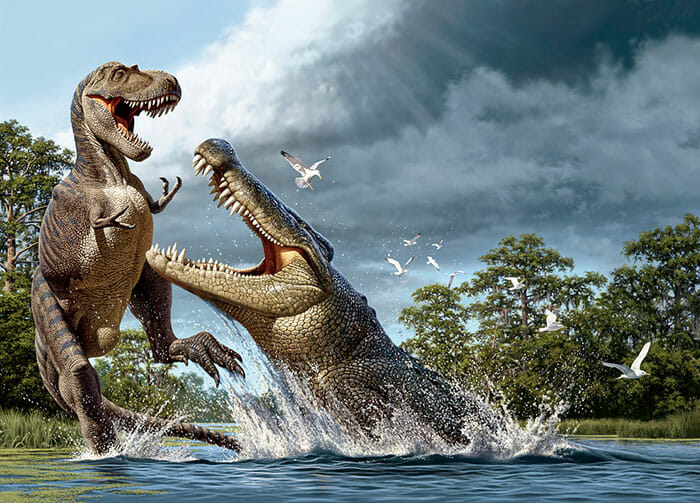 A Deinosuchus, an alligator ancestor, lunges at an Albertosaurus.