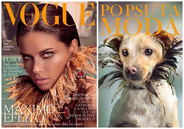 Campanha de adoção inusitada coloca cães de rua em capas de revistas famosas