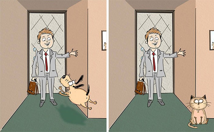 Gatos vs. Cachorros: 6 Ilustrações divertidas que representam as diferenças entre eles