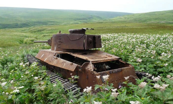 33 Belas imagens de tanques de guerra que perderam a batalha contra a natureza