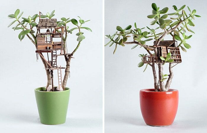Sonha com Sua Casa na Árvore? Conheça Versões em Miniatura feitas para Vasos de Plantas