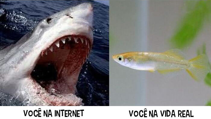 pessoas-na-internet-vs-na-realidade_1