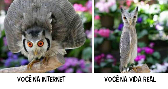 pessoas-na-internet-vs-na-realidade_6