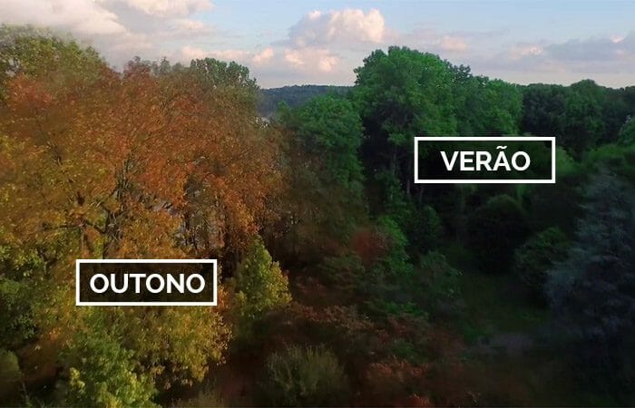 Vídeo Incrível Capturado Por Drone Compara O Quanto A Natureza Muda Durante As Estações Do Ano