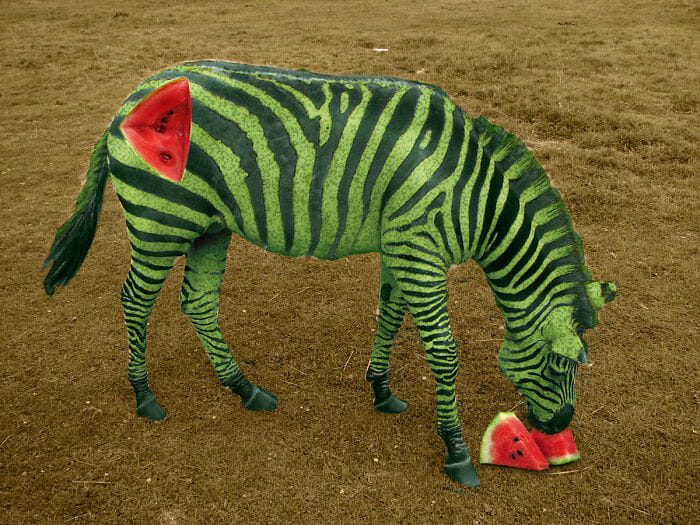 Mestres do Photoshop Transformam Animais em Plantas e os Resultados são Bem Interessantes