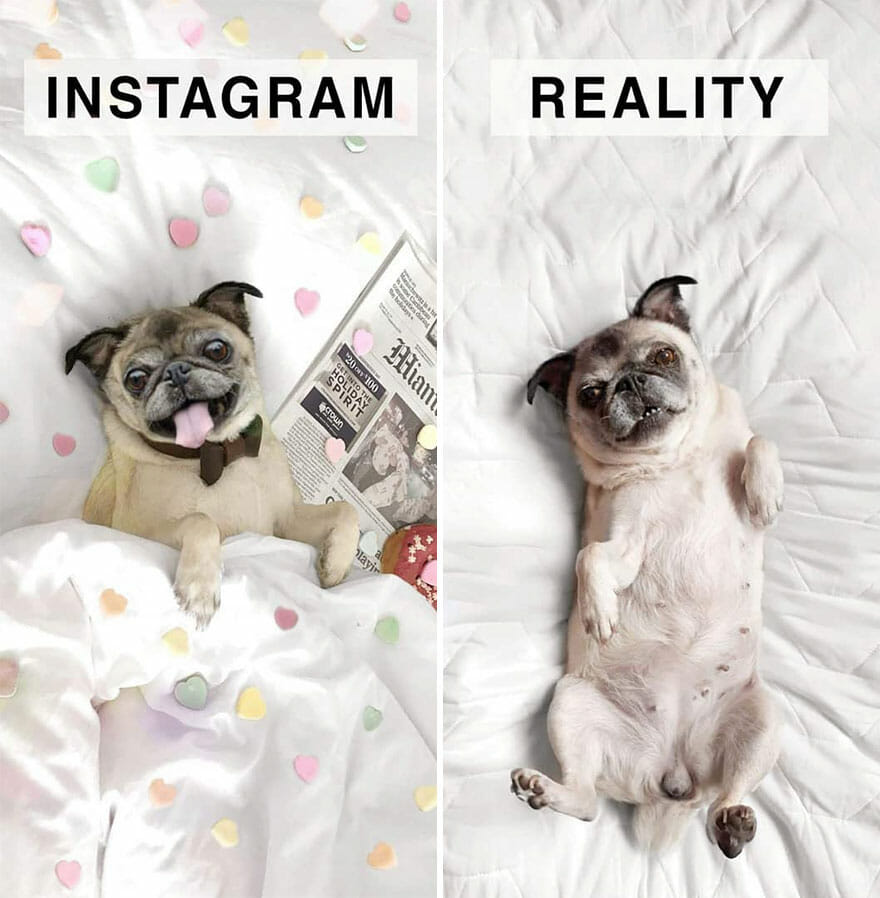 Instagram da Vida Real: Artista Cria Versões Realistas e Engraçadas Satirizando Fotos do Instagram