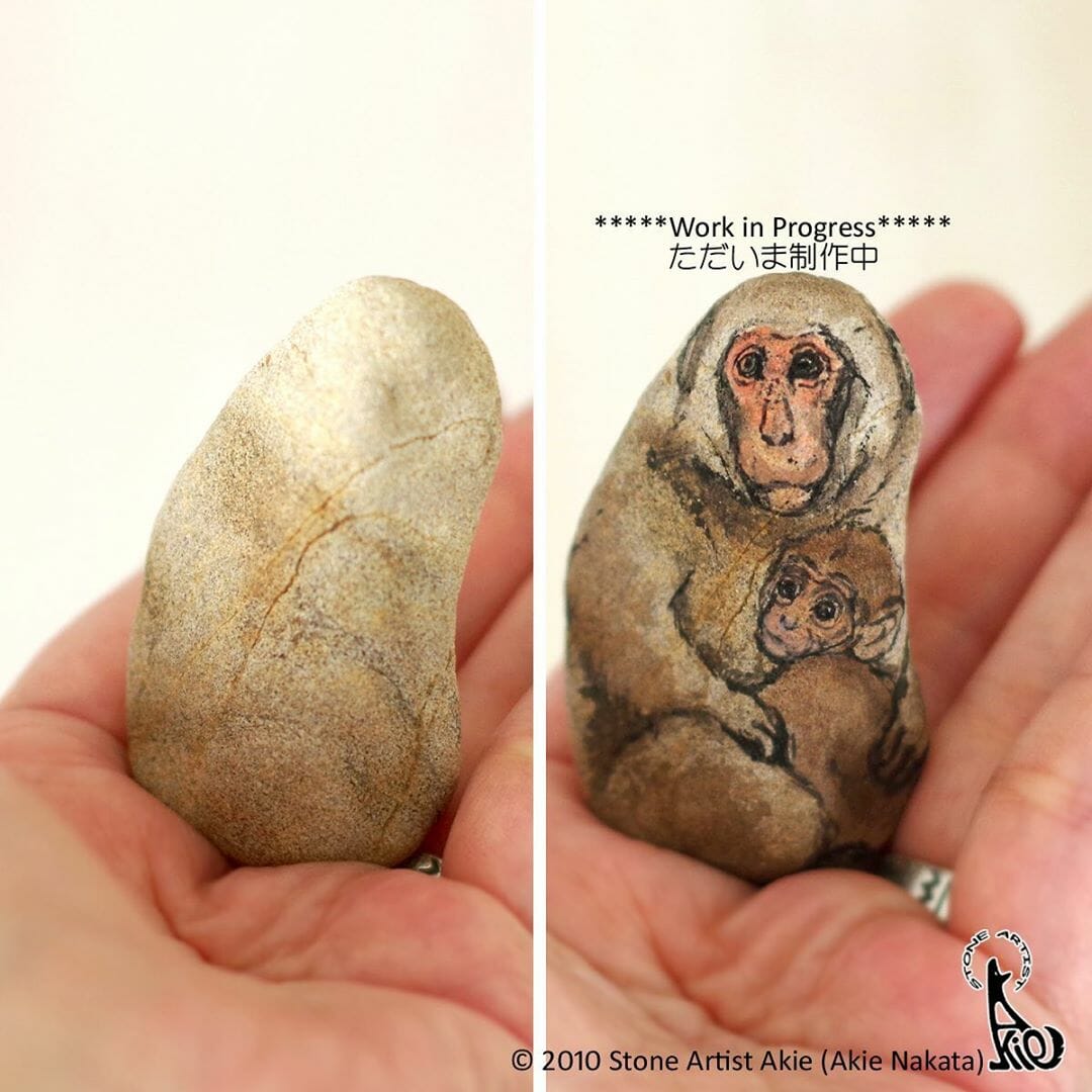 25 Pequenos Animais Fofos Que Na Verdade São Pedras Pintadas