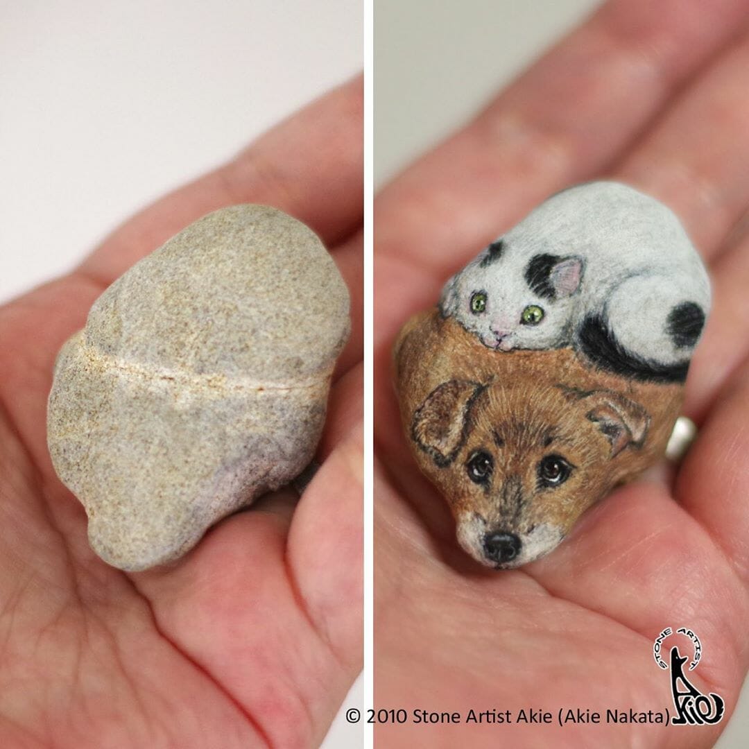 25 Pequenos Animais Fofos Que Na Verdade São Pedras Pintadas